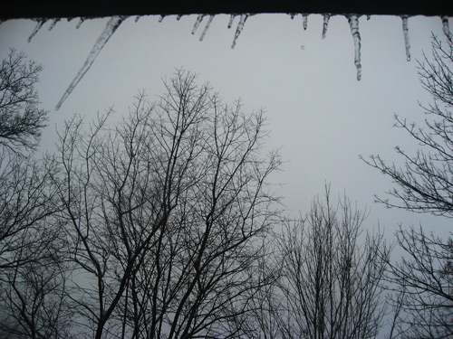 The perfect February morning: icicles & trees