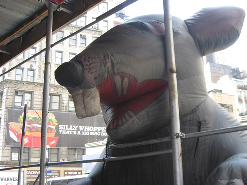 Giant Rat trying to eat giant Burger King Whopper